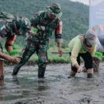 Tanam padi organik bersama PT Vale Indonesia dan Pangdam XIII/Merdeka di Morowali, Sabtu (25/1/2025). (Foto: PT Vale Indonesia)
