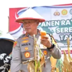 Kapolda SUlteng, Irjen Pol Agus Nugroho memegang jagung yang dipanennya di Desa Labuan Toposo, Donggala, Rabu (26/2/2025). (Foto Huams Polda Sutleng)