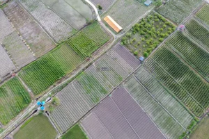 Indonesia Jadi Tuan Rumah Asia Land Forum 2025