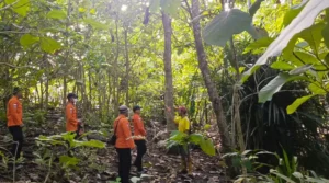 Tiga Hari Belum Kembali dari Kebun, Tim SAR Cari Lansia 70 Tahun