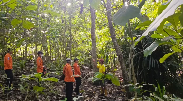 Tim SAR melakukan pencarian seorang lansia yang tidak kembali sejak tiga hari lalu di Desa Tikupon, Luwuk, JUmat (14/3/2025). (Foto: Basarnas Palu)