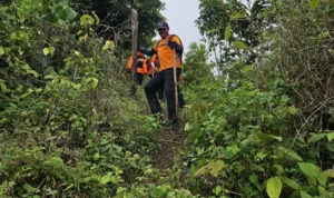 Hasil Nihil, Operasi Pencarian Lansia di Desa Lampo Dihentikan