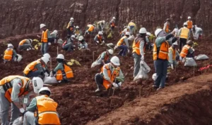 Aksi tanam pohon PT Vale IGP Morowali memperingati hari Bumi 2025, Selasa (22/4/2025). (Foto: Pt Vale Indonesia)