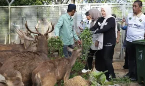 Wagub Sulsel Kunjungi PT Vale Indonesia di Sorowako