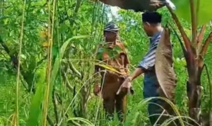 DPRD Sulteng Soroti Kondisi KPN Talaga yang Tak Terurus