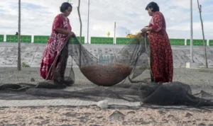 Lamale, Mutiara Kecil di Teluk Palu