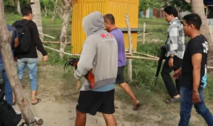 Sabung Ayam di Petobo: Jejak Perjudian yang Tak Kunjung Usai
