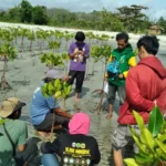 Penanaman mangrove di kawasan Teluk Tomini sebagai upaya pelestarian dan pembentengan abrasi. (Foto: FKPAPT Parigi Moutong)