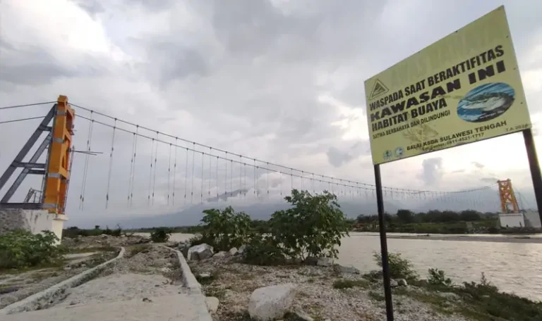 Jembatan gantung di Desa Kalukubula yang sedang dalam proses perampungan, Rabu (11/6/2025). (bmzIMAGES/Basri Marzuki)