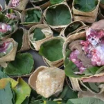 Wadah kurban dengan memanfaatkan daun besek untuk mengurangi sampah plastik. (Foto: Antara/Syaiful Arif)