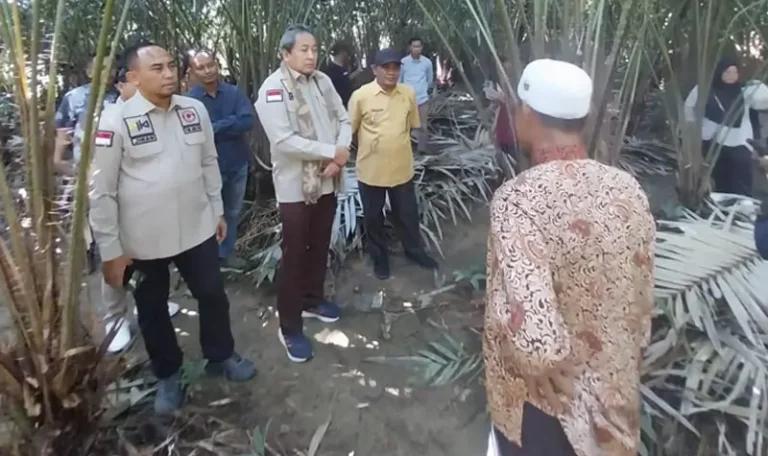 Tim Ahli Indikasi Geografis Direktorat Jenderal Kekayaan Intelektual meninjau langsung perkebunan salak pondoh SImpang Raya di Banggai. (Foto: Kemenkum Sulteng)