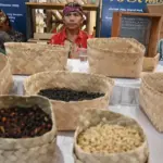 Dari Kebun hingga Cangkir: Ketika 350 Ton Kopi Sulteng Menemukan Jalannya