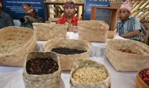 Sejumlah anggota kelompok tani dari Poso memajang biji kopi hasil produksinya pada Festival Kopi Sulteng 2025 di PGM, Sabtu (18/10/2025). (© bmzIMAGES/Basri Marzuki)