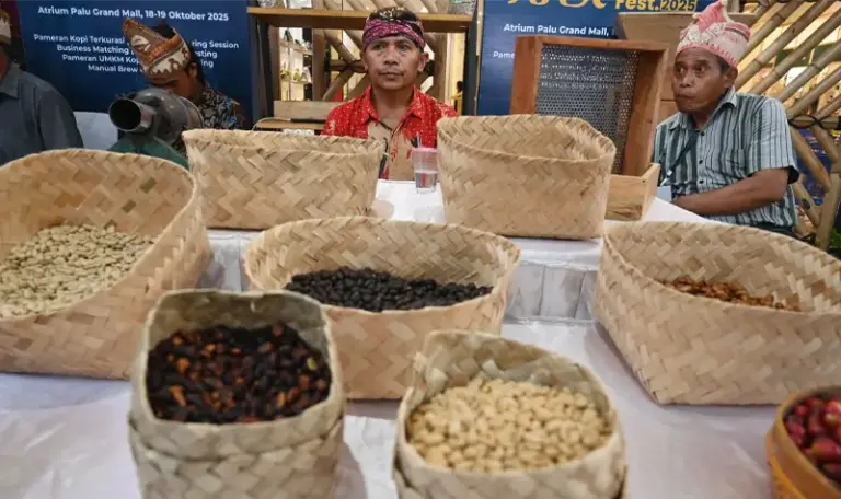 Sejumlah anggota kelompok tani dari Poso memajang biji kopi hasil produksinya pada Festival Kopi Sulteng 2025 di PGM, Sabtu (18/10/2025). (© bmzIMAGES/Basri Marzuki)
