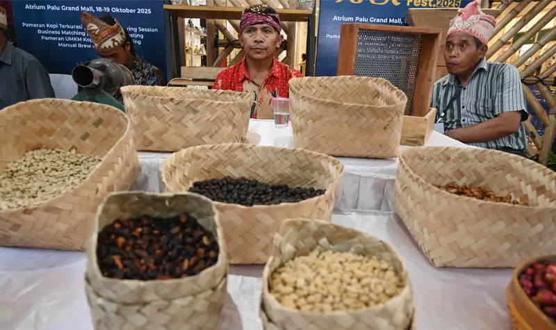 Sejumlah anggota kelompok tani dari Poso memajang biji kopi hasil produksinya pada Festival Kopi Sulteng 2025 di PGM, Sabtu (18/10/2025). (© bmzIMAGES/Basri Marzuki)