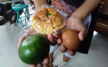 Hanya 1 Jeruk, 1 Telur, 1 Roti, Menu MBG di SD Kota Palu Disorot