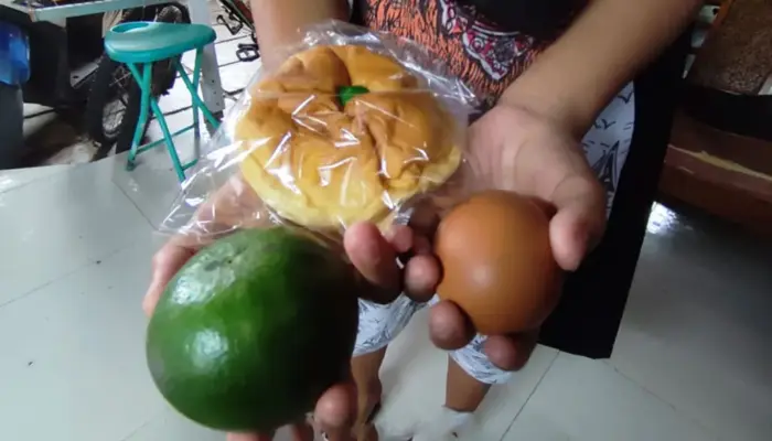 Hanya 1 Jeruk, 1 Telur, 1 Roti, Menu MBG di SD Kota Palu Disorot