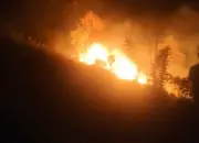 Kebakaran Lahan di Desa Labuan Donggulu Kasimbar