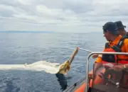 Operasi SAR pencarian dua ABK KLM Nur Ainun Balqis di Selat Makassar. (©Basarnas Palu)