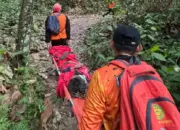 Enam Hari Hilang di Perkebunan Walatana, Nenek Saripah Ditemukan Selamat