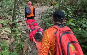 Enam Hari Hilang di Perkebunan Walatana, Nenek Saripah Ditemukan Selamat