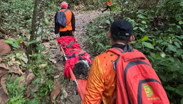 Enam Hari Hilang di Perkebunan Walatana, Nenek Saripah Ditemukan Selamat