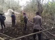 Giliran Bambalemo Parigi Dilanda Kebakaran Lahan