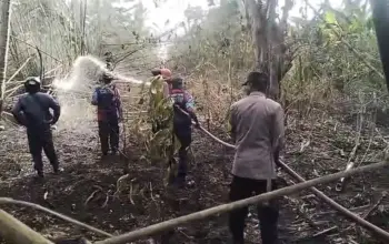 Giliran Bambalemo Parigi Dilanda Kebakaran Lahan