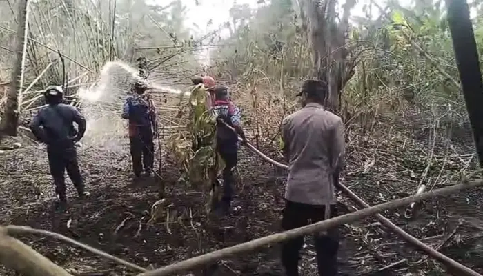 Giliran Bambalemo Parigi Dilanda Kebakaran Lahan