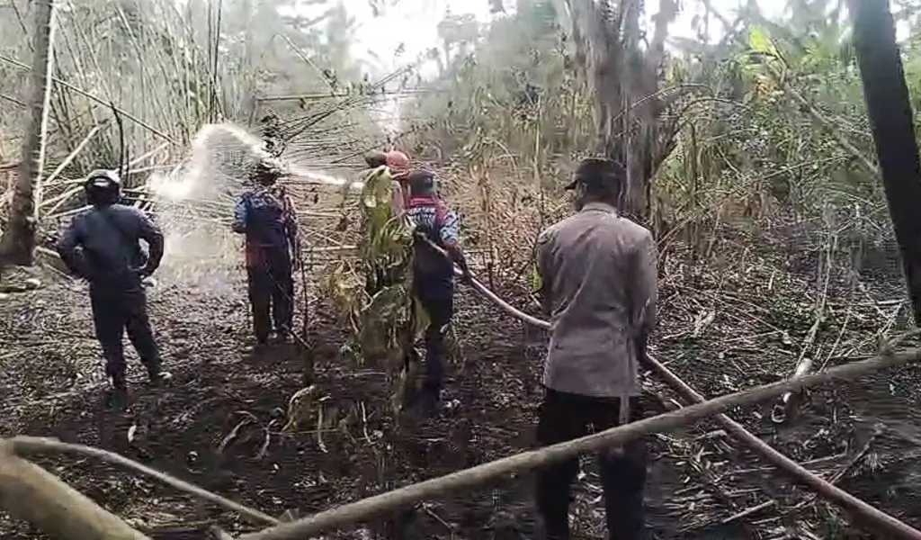 Aparat kepolisian bersama warga berusaha memadamkan api yang mebakar lahan warga di Desa Bamabalemo Parimo, Jumat (27/2/2026). (©HUmas Polres Parimo)