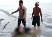 Mayat Lansia Ditemukan Mengapung di Pantai Dimpalon Baru, Banggai