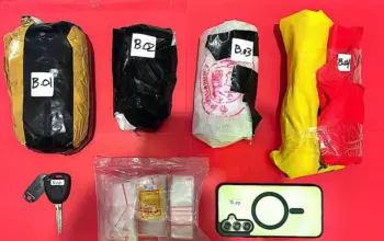 Babuk yang berhasil disita dari tersangka ARI di Mapolresta Palu, Jumat (20/2/2026). (©Humas Polresta Palu)