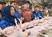 Harga Daging Naik, Wagub Sulteng Sidak Pasar dan Gudang Bulog