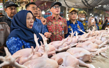 Harga Daging Naik, Wagub Sulteng Sidak Pasar dan Gudang Bulog